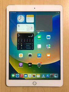 iPad 7 SIMフリー 32GB iPad7 バッテリー良好 完動品