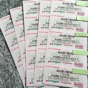 [Последнее] Акционер United Supermarket Preliminal Ticket 3000 иен для Maruetsu Kasumi Max Valu USMH Mini Letter 63 Yen