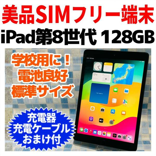 SIMフリー iPad 第8世代 本体 128GB スペースグレイ 電池良好 A-494