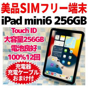 美品 SIMフリー iPad mini6 本体 256GB 495 スペースグレイ 電池100%