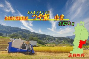 大人気つや姫ブランド米!!　令和5年産　宮城県産　つや姫中米　玄米24ｋｇ