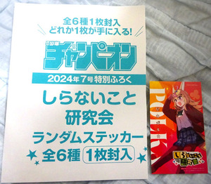 少年チャンピオン7号付録★ホロライブ「不知火建設」しらないこと研究会・尾丸ポルカ ランダムステッカー　※送料63円