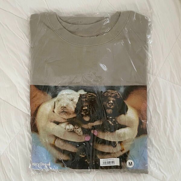 Saucy Dog サウシードッグ Tシャツ ※手数料無料のため、期間限定お値下げ