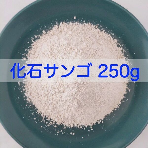 【送料無料】アクアリウム用 化石サンゴ250g 水質改善 pH調整に メダカ 錦鯉