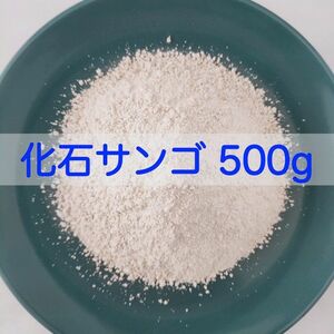 【送料無料】アクアリウム用 化石サンゴ500g　水質改善 pH調整に メダカ 錦鯉