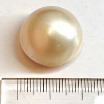 ［マベパール5.9g］D 29.5ct 20.4×20.2mm ルース 裸石 宝石 pearl 真珠 DB5/EB5_画像1