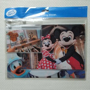 東京ディズニーリゾート ファスナー付きケース 3サイズ3枚セット ミッキーマウス ミニーマウス