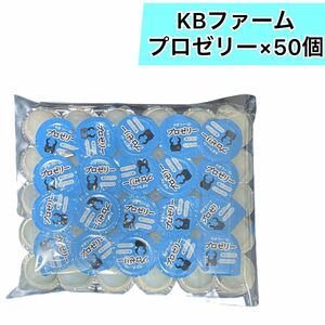 ×50個　 KBファーム プロゼリー 昆虫ゼリー クワガタ　カブト　ハムスター