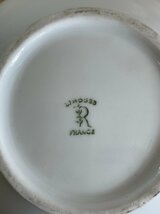 【長期保管品】 リモージュ フランス製 LIMOGES FRANCE パームポット ティーポット 白 ホワイト 白磁_画像7