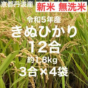 新米 無洗米 12合(3合×4袋) 1.8Kg 京都丹波産きぬひかり 令和5年産 農家直送