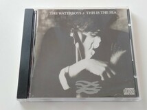 THE WATERBOYS / THIS IS THE SEA CD Chrysalis US F2-21543 ウォーターボーイズ85年名盤3rd,Mike Scott,CELTIC FOLK,POST PUNK,_画像1
