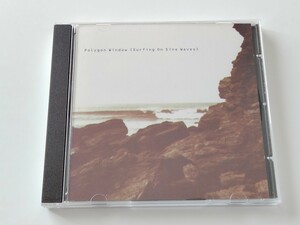 【Aphex Twin/AFX/Richard D.James】Polygon Window / Surfing On Sine Waues CD WARP UK CD7 01年リイシュー盤2曲追加,ACID TECHNO,