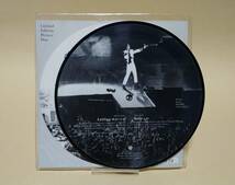 (7inch) Prince - Letitgo - Solo / 限定ピクチャー盤 / UK 1994 / Limited Edition Picture Disc_画像2
