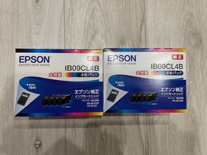 IB09CL4B エプソン EPSON 純正 インクカートリッジ 4色パック 大容量タイプ プリンターインク （未開封２セット）　適合機種PX-M730F