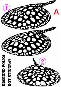 ダイヤモンドポルカ スティングレイ ステッカー 2枚SET モトロ ポルカドット 淡水エイ　アロワナ ポルカ おとひめ 淡水魚 アロワナ B52