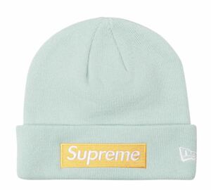 激レア 新品未使用 supreme BOX LOGO BEANIE ICE BLUE ビーニー ニット帽 NIKE 17 aw fw 23 ミッチェル ネスS KITH Mitchell & Ness stussy