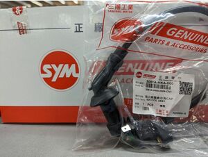 SYM純正　GT125キャブ仕様　イグニッションコイル 3051A-HKA-000　新品