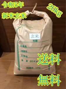 令和5年度産 新米 玄米ヒノヒカリ20kg