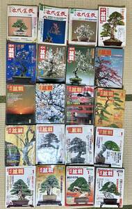 近代盆栽 1978年～1999年 194冊 不揃い セット 盆栽 雑誌 月刊誌 近代出版 園芸 古書 古本