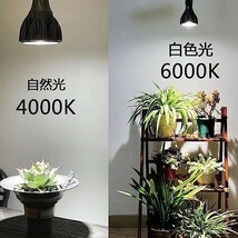 ■送料無料■LED 植物育成ライト E26口金 24W 100W相当 電球色 暖色系 led 太陽光 フルスペクトル 日照不足解消 育成ライト_画像4