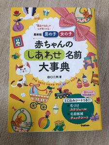 最新版 男の子 女の子 赤ちゃんのしあわせ名前大事典　命名　画数　名前辞典