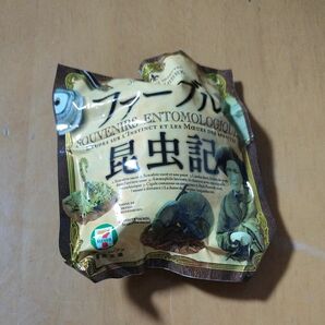 カプセルトイ　昆虫 フィギュア　ファーブル昆虫記