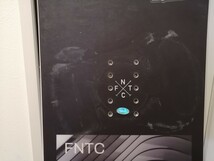 ★21-22　FNTC　TNTC157cm グラトリ カービング★_画像5