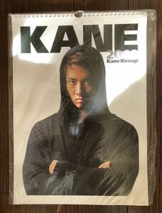 レア 2002 KANE KOSUGI フルカラー カレンダー ポスター 2002年ケイン・コスギカレンダー CL-127 未開封自宅保管品 コレクションコレクター