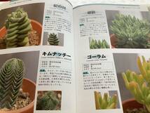 ミエミセ サボテン・多肉、蘭、山野草などの古本　　多肉植物の本　２冊セット　処分特価　送料込み_画像4