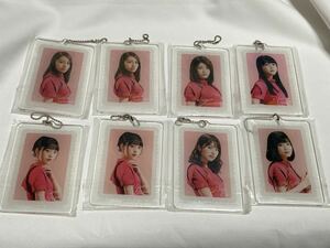 乃木坂46 一番くじ P賞 アクリルキーホルダー まとめ　セット