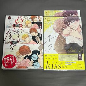 BL漫画 好きになってもかまへんで / 抱きしめて、見つめて、キスして