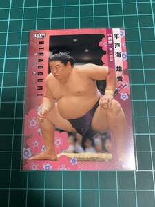 BBM2024 大相撲カード 31 平戸海雄貴