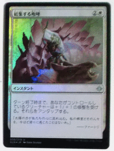 ＭTG日本語/foil/結集する咆哮/イクサラン/アンコモン