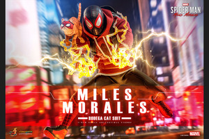  hot toys [ video game * master-piece ] mile s*mo RaRe s| Spider-Man (. shop. signboard cat suit version ) new goods 