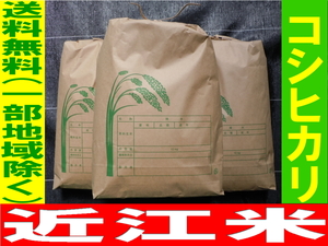 令和5年 新米 近江コシヒカリ ★農家直送★ 送料無料(一部地域除く) 9Kg(玄米10Kg)