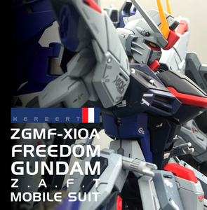 MG 1/100 ZGMF-X10A フリーダムガンダムVer.2.0 (機動戦士ガンダムSEED)