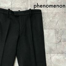 phenomenon フェノメノン woolpants ウールパンツ グラデーション 日本製 スワッガー 東京コレクション サイズ30(M) 玉SS1420_画像1