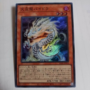 遊戯王　天盃龍パイドラ　スーパー