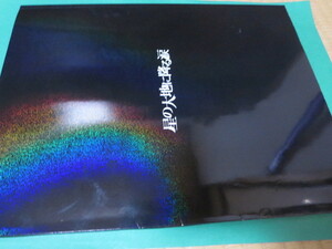 舞台 地球ゴージャス 星の大地に降る涙 パンフレット 三浦春馬 木村佳乃 寺脇康文 岸谷五朗 長谷部優 平間壮一