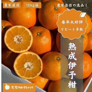 【熟成伊予柑】10kg 家庭用　毎年大好評！農家直送　サイズ混合　訳ありみかん柑橘　愛媛県産　果物　いよかん送料無料　松山市フルーツ