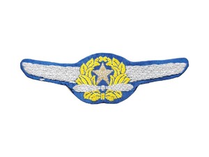 実物未使用品 日本陸軍 航空胸章 将校用 織り出しタイプ 部隊章 日本軍 航空部隊 徽章 勲章 階級章 旧日本軍 航空章