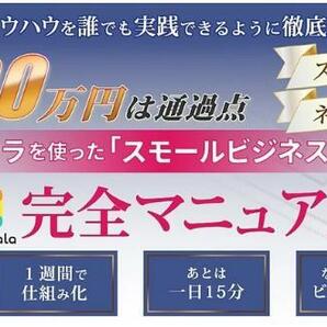 【スキル不要｜初月から黒字化当たり前】ココナラを使った「スモールヒシネス」構築完全マニュアル nemi★の画像1