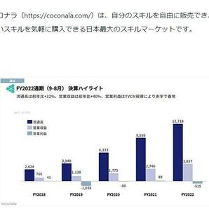 【スキル不要｜初月から黒字化当たり前】ココナラを使った「スモールヒシネス」構築完全マニュアル nemi★の画像6