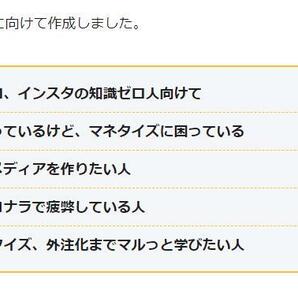 ★インスタ占いハーフェクトマニュアル-未経験から集客、マネタイス、外注まて★占い・スピで20アカウント以上作ってきました★副業の画像6