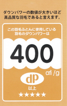 ダウンパワー４００ｄｐが証明されてます。