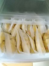 冷凍ヒヨコ 100羽 ◇ 送料着払い(送料は説明文に記載あり) ありがとうございます 結構売れてます！_画像3