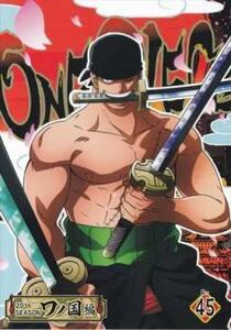 ONE PIECE ワンピース 20thシーズン ワノ国編 R-45(第1058話～第1060話) レンタル落ち 中古 DVD