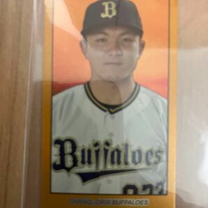 topps206茶野篤政タバコカード50シリ、オリックスバファローズ