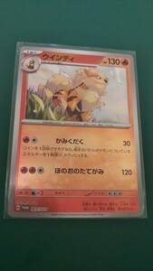 ポケモンカード ウインディ P プロモ