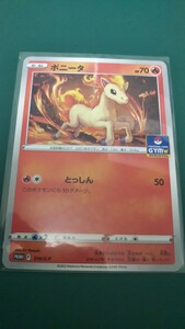 ポケモンカード ポニータ P プロモ